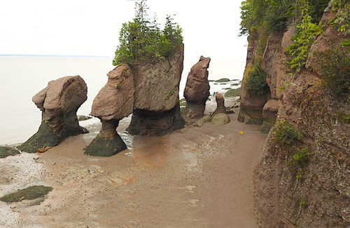 Bay of Fundy